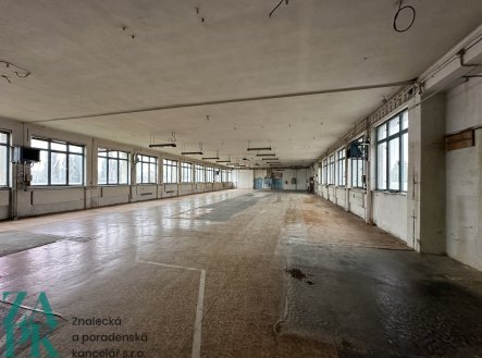 Pronájem komerčního objektu, sklad, 1 000 m²