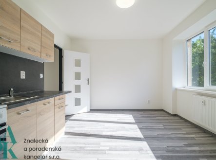 Pronájem bytu, 1+1, 38 m²
