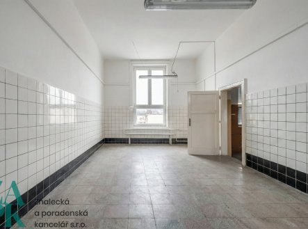 Pronájem kanceláře, 173 m²