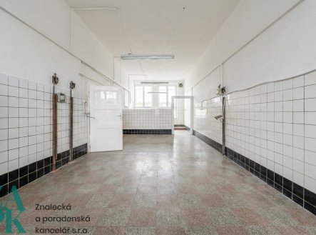 Pronájem kanceláře, 173 m²