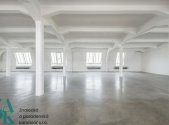Pronájem - kanceláře, 303 m²
