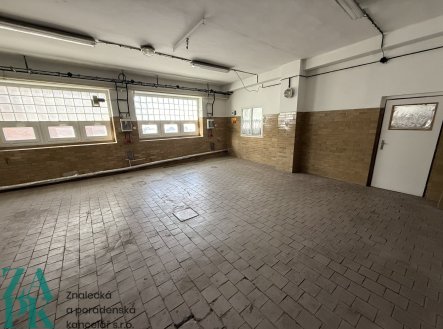 Pronájem komerčního objektu, výroba, 53 m²