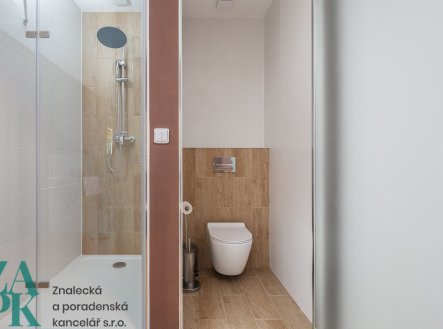 Pronájem bytu, 1+kk, 22 m²