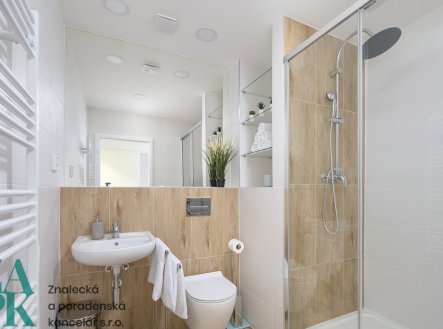 Pronájem bytu, 1+kk, 22 m²