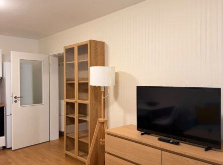 Pronájem bytu, 2+kk, 42 m²