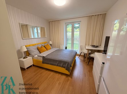 Pronájem bytu, 1+kk, 26 m²