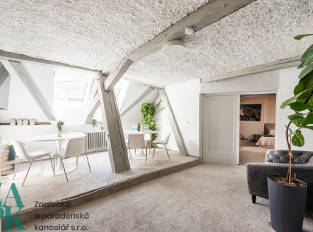 Prodej bytu, atypický, 169 m²