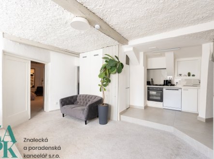 Prodej bytu, atypický, 169 m²
