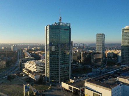 Pronájem kanceláře, 39 m²