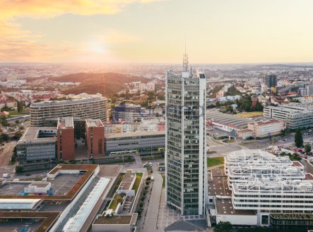 Pronájem kanceláře, 38 m²