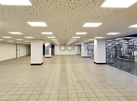 Pronájem obchodní prostory, 360 m²