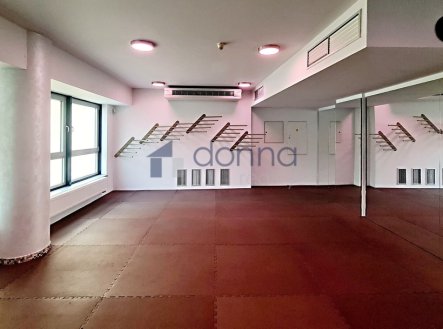 Pronájem obchodní prostory, 360 m²