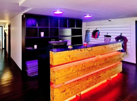 Pronájem obchodní prostory, 360 m²