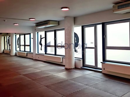 Pronájem obchodní prostory, 360 m²