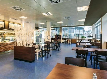 Pronájem kanceláře, 326 m²
