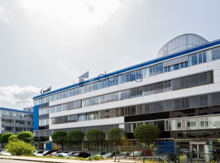 Pronájem kanceláře, 326 m²