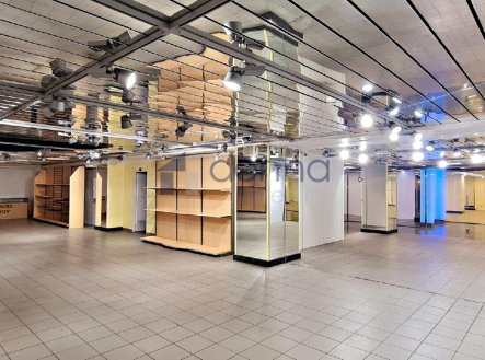 Pronájem obchodní prostory, 310 m²