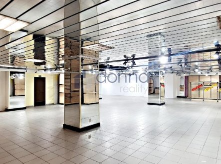Pronájem obchodní prostory, 310 m²