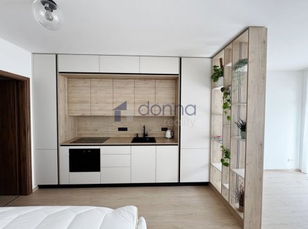 Pronájem bytu, 1+kk, 38 m²