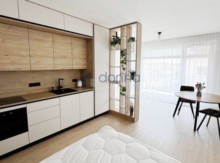Pronájem bytu, 1+kk, 38 m²