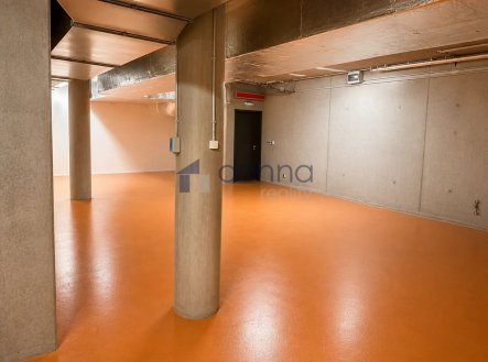Pronájem skladu, 330 m²