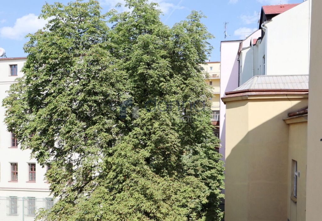 Fotku se nepodařilo načíst.