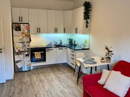Pronájem bytu, 2+kk, 42 m²