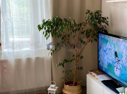 Pronájem bytu, 2+kk, 42 m²
