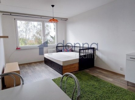Pronájem bytu, 1+kk, 30 m²