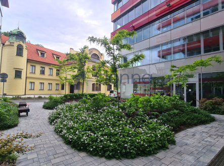 Pronájem obchodní prostory, 194 m²