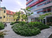 Pronájem obchodní prostory, 194 m²