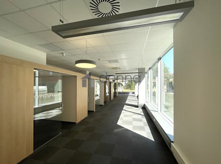 Pronájem obchodní prostory, 194 m²