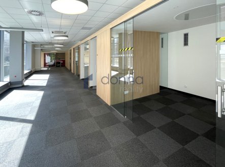 Pronájem obchodní prostory, 194 m²