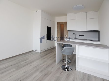 Pronájem bytu, 1+kk, 39 m²