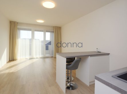 Pronájem bytu, 1+kk, 39 m²