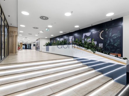 Pronájem obchodní prostory, 82 m²