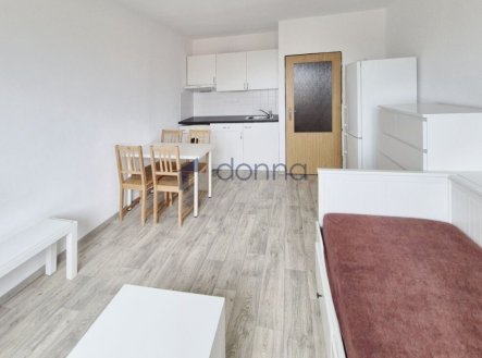 Pronájem bytu, 1+kk, 24 m²