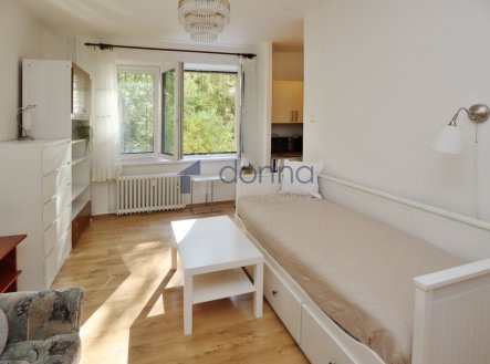 Pronájem bytu, 1+kk, 23 m²