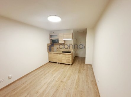 Pronájem bytu, 1+kk, 19 m²