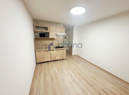Pronájem bytu, 1+kk, 19 m²