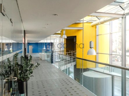 Pronájem obchodní prostory, 1 000 m²