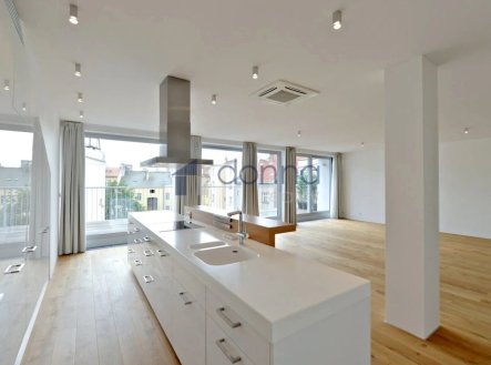 Pronájem bytu, 4+kk, 203 m²