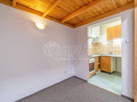 Pronájem bytu, 1+kk, 27 m²