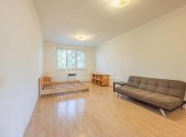 Pronájem bytu, 1+1, 52 m²