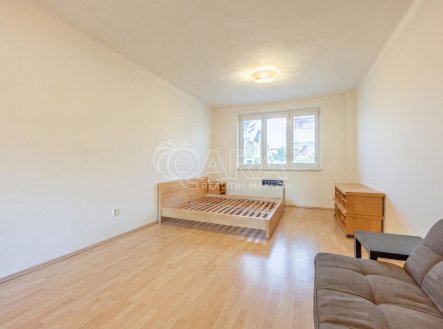 Pronájem bytu, 1+1, 52 m²