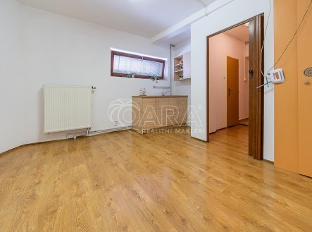 Pronájem bytu, 1+kk, 15 m²