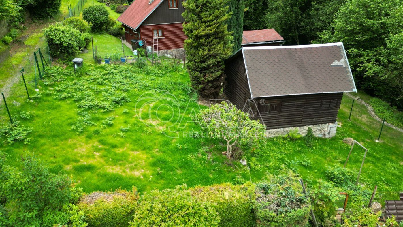 fotografie
