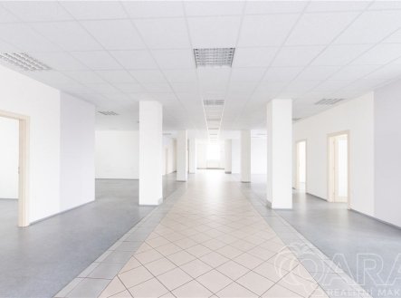 Pronájem kanceláře, 398 m²
