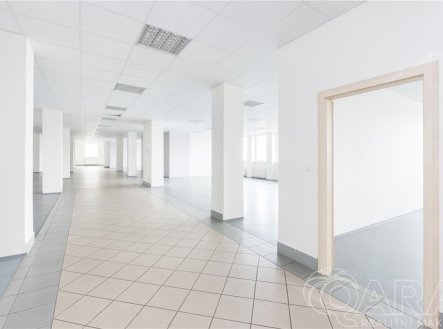 Pronájem kanceláře, 398 m²