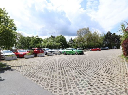 Pronájem kanceláře, 18 m²